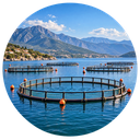 Aquaculture fish farms on the Albanian coast